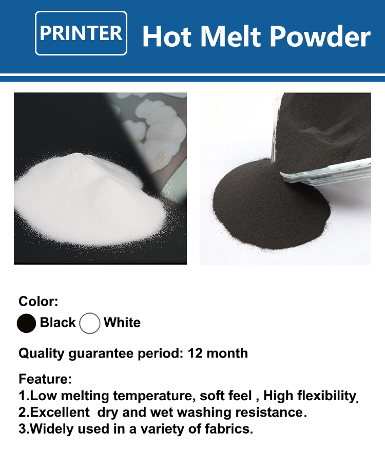 1000g 1kg DTF Powder Fine Powd - đánh giá và giá Direct To Garment Ink